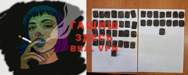 соль ск Новозыбков