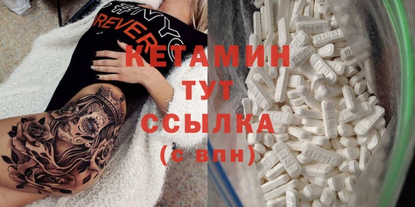 соль ск Новозыбков