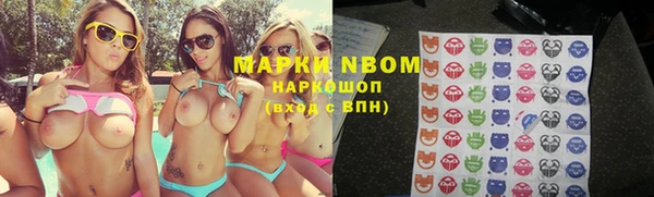 стаф Новокубанск