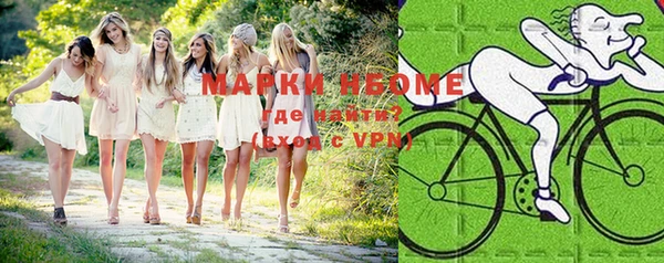 стаф Новокубанск